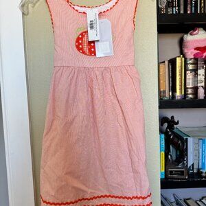 NWT Lil Cactus Orange Pinstripe Pumpkin Embroidered A-Line Dress